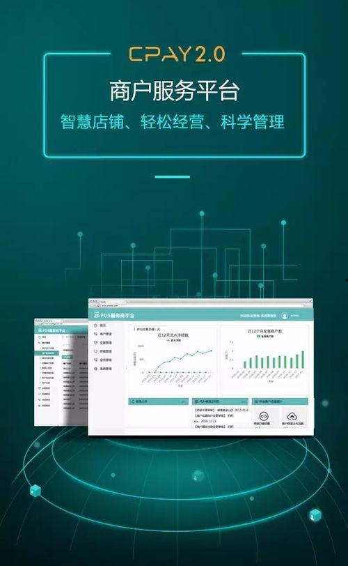 最新2.0支付行业爆料,揭秘最新爆料与未来趋势  第3张
